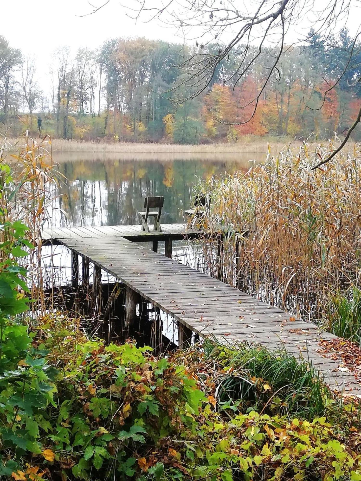 Holiday home Schwandt-ein Mit Wasserblick, Ruderboot Auf Anfrage Rosenow (Mecklenburg-Vorpommern)