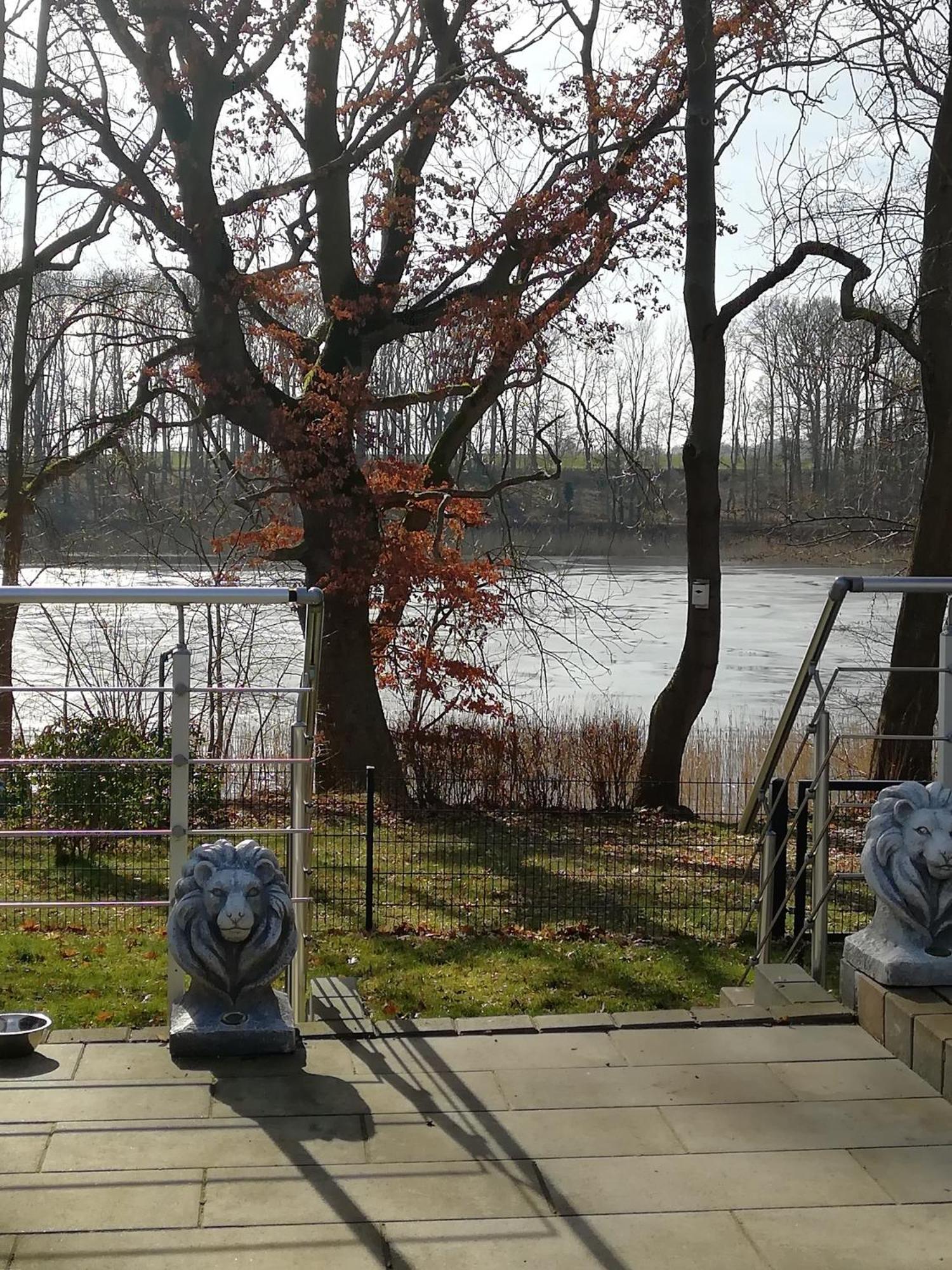 Holiday home Schwandt-ein Mit Wasserblick, Ruderboot Auf Anfrage Rosenow (Mecklenburg-Vorpommern)